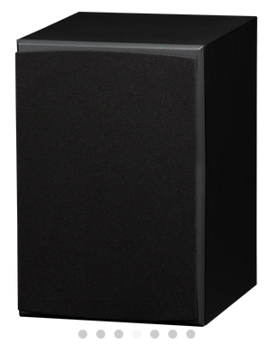 InRoom Silver MiniMonitor (painted finish)