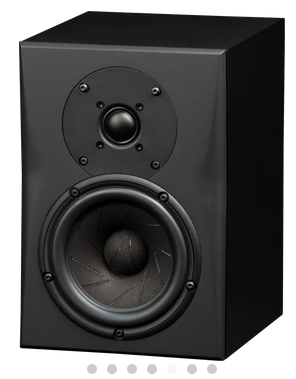 InRoom Silver MiniMonitor (painted finish)