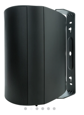 Outdoor OD25 (Black) (Pair)