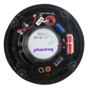 PP-6