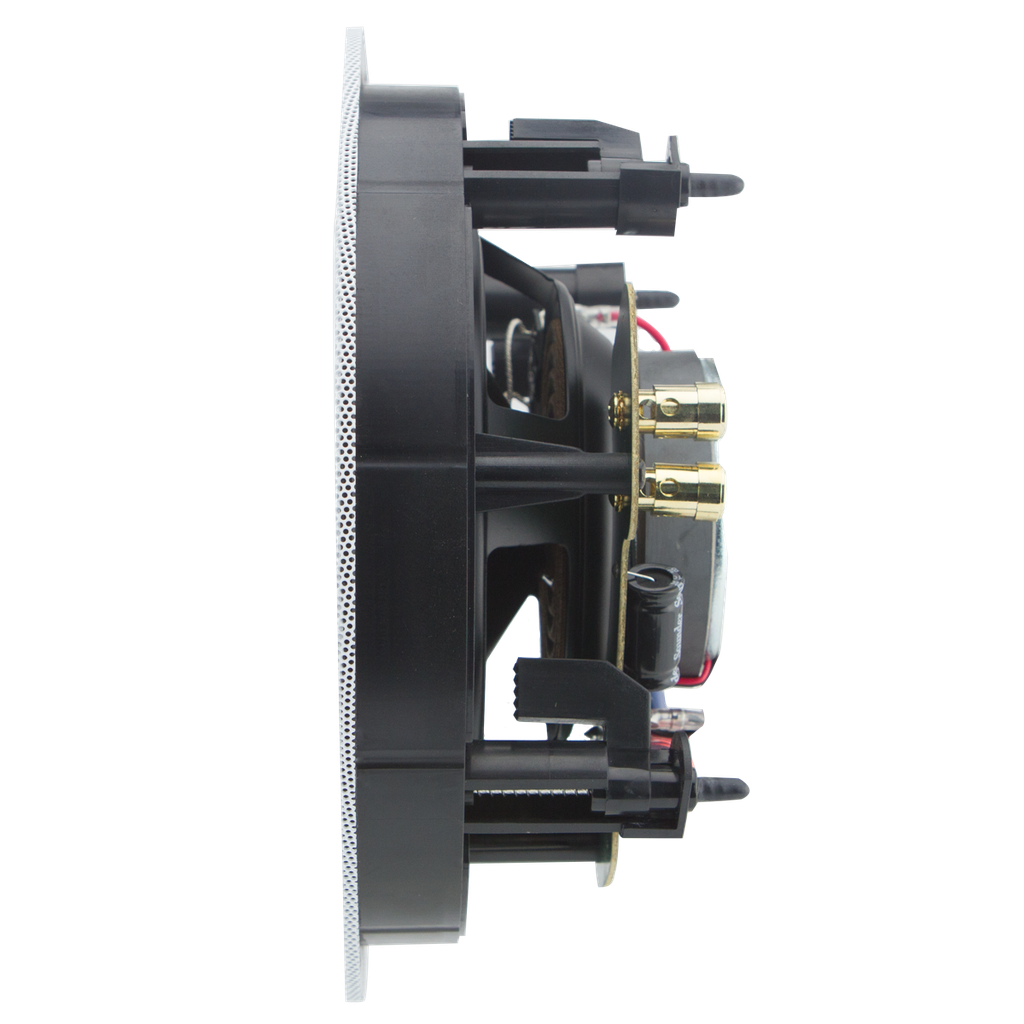PP-8
