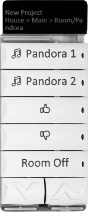 C4-EB-PANDORA