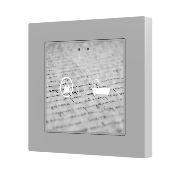 ZVIF55X2V2X