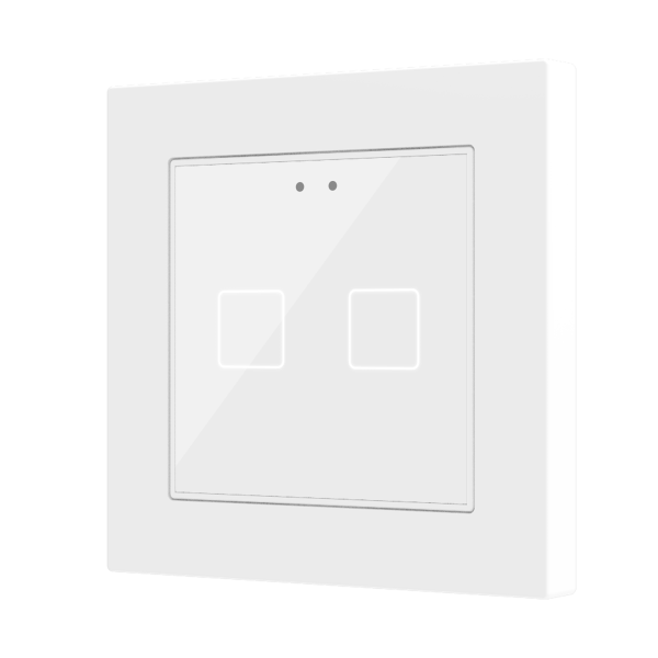 ZVIF55X4V2X