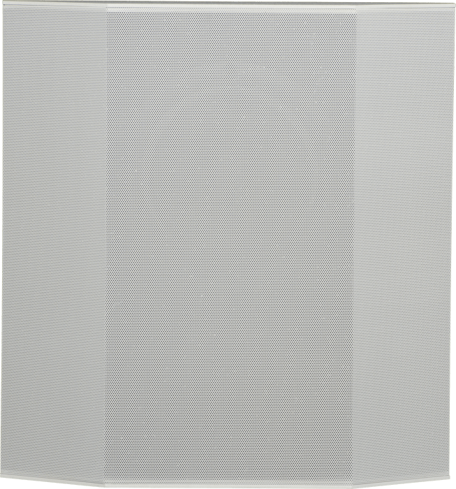 OnWall Silver Surround (standard bipole)