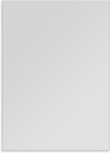 [TRI-006-0206] Grill Assembly B Frameless